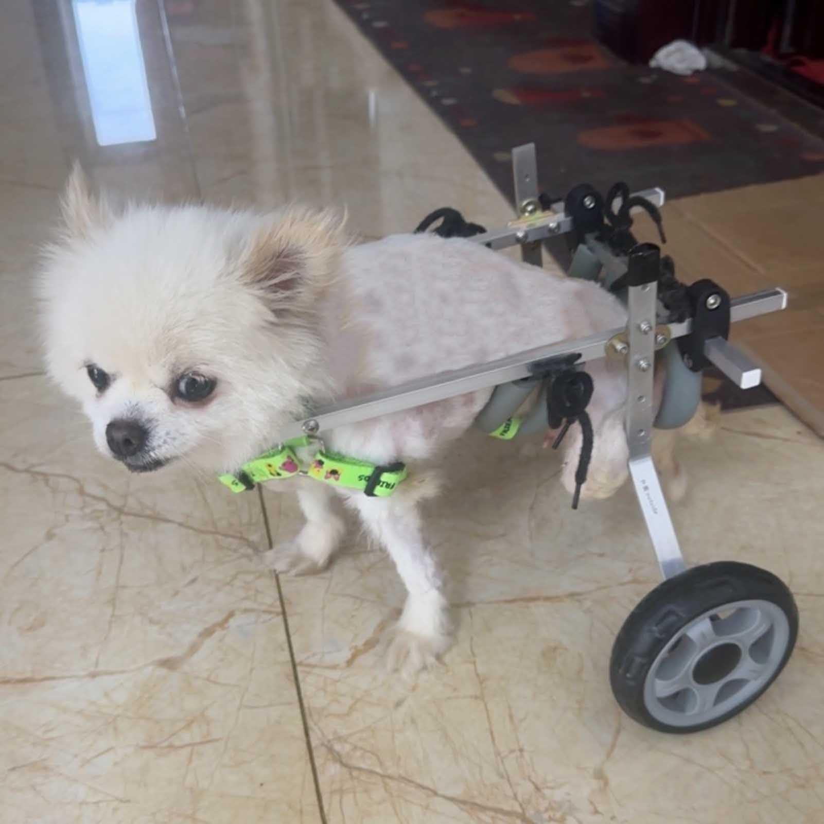 犬用車いす アルミニウム製 超小型犬用