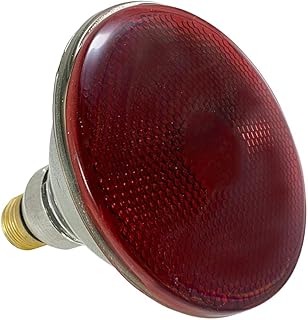 Sylvania 13948 100-Watt PAR38 Incandescent Reflector , Blue