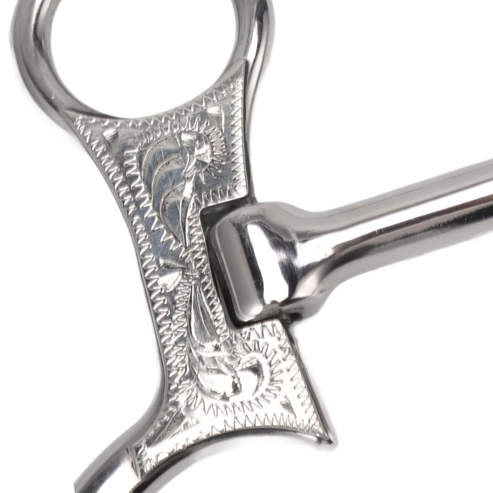 Mordacchia a Bocca di Cavallo da 120 mm, mordacchia in Acciaio Inox con Catena per l’addestramento equestre, mordacchia Resistente alla ruggine con Finitura Lucida e levigata per