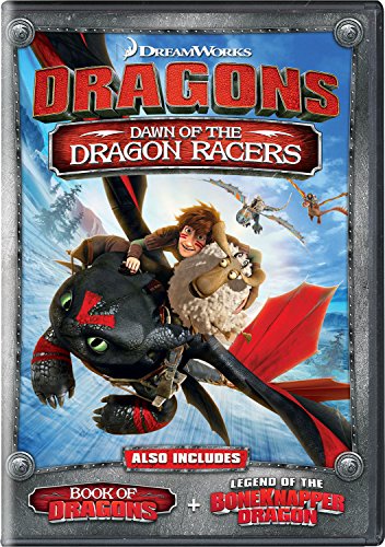 Dragons: Dawn of the Dragon Racers