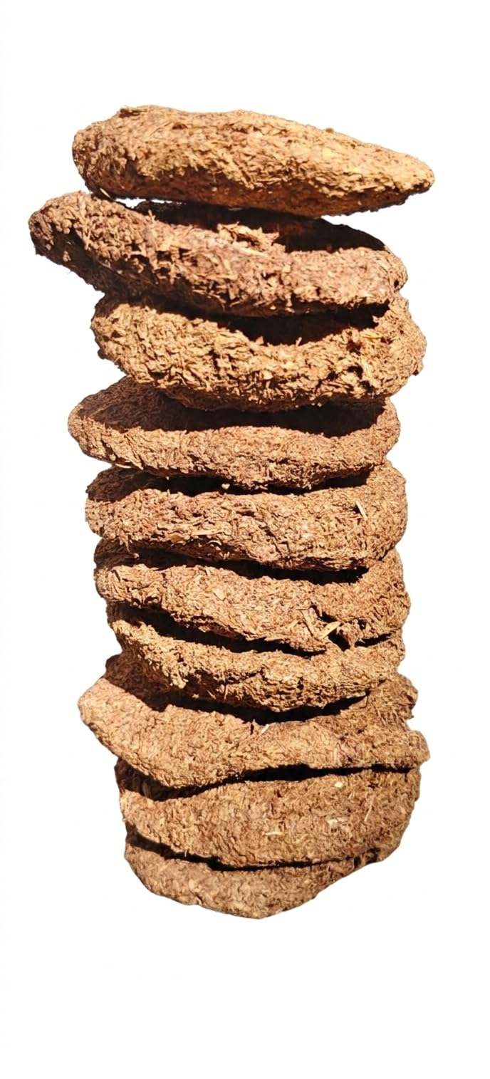 Desi Cow Dung Cake for Havan Pooja, Handmade Gau Kande for Religious Purpose, Pack of 15 Desi Cow Dung Cake/Kande Desi Gau ke kande/Upla/uplay for Navrarti Puja (mini Size)-image-47