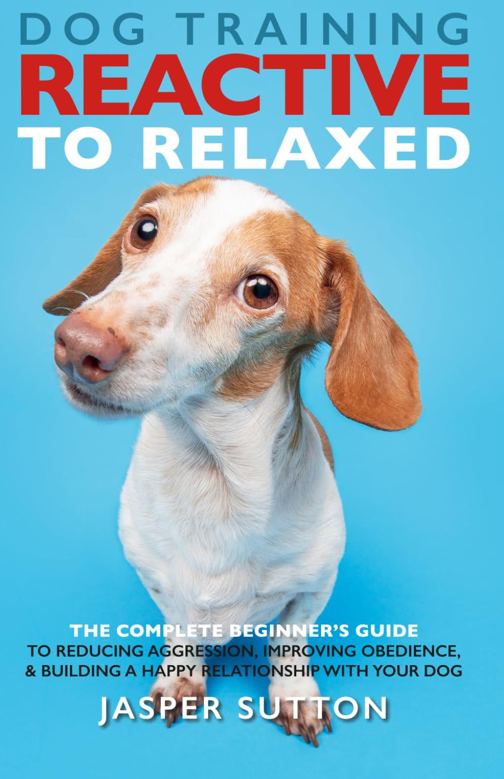 Dog Training Reactive To Relaxed: The Complete Beginner’s Guide to Reducing Aggression, Improving Obedience, & Building a Happy Relationship With Your Dog