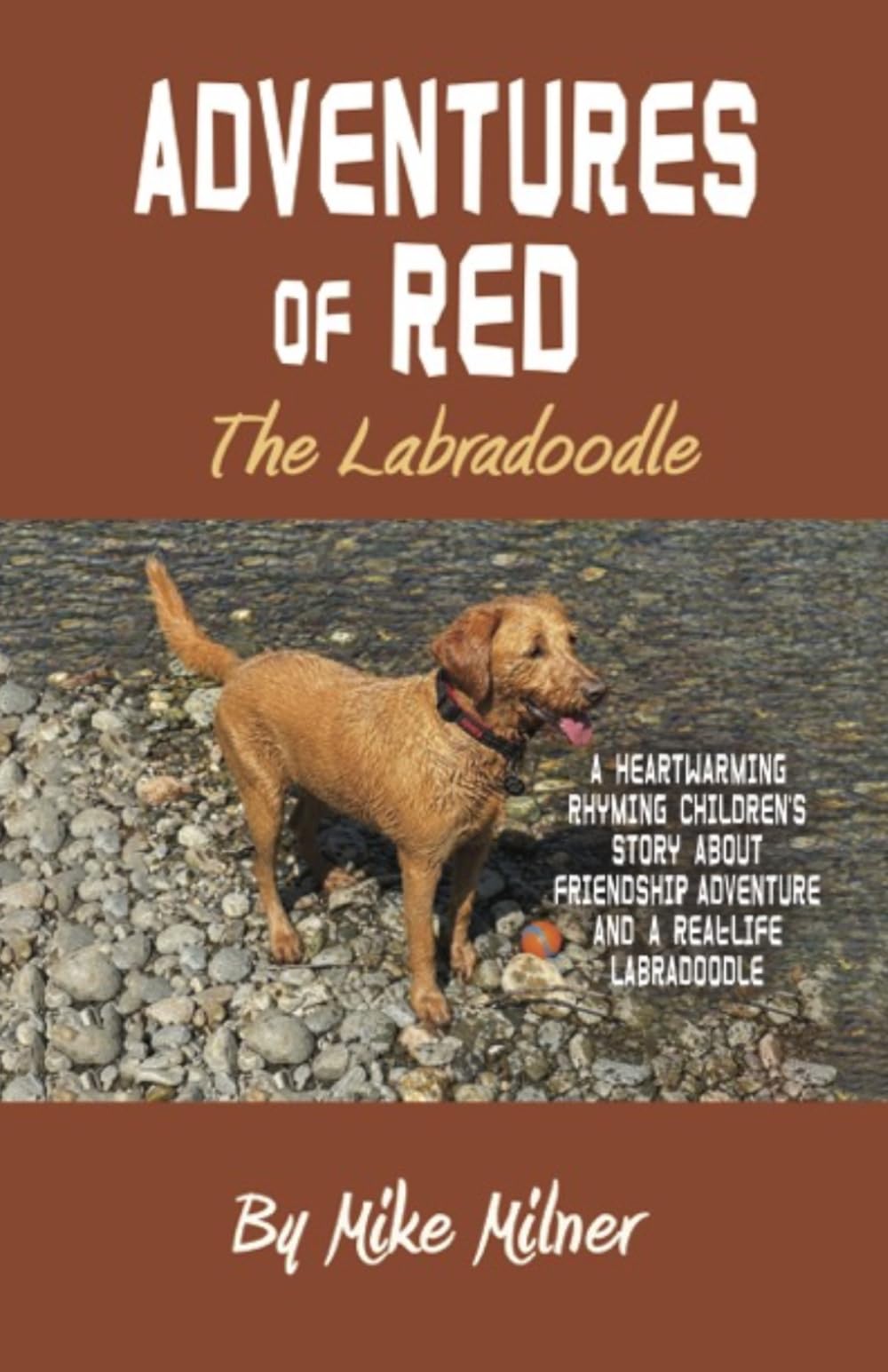 The Adventures of Red the Labradoodle