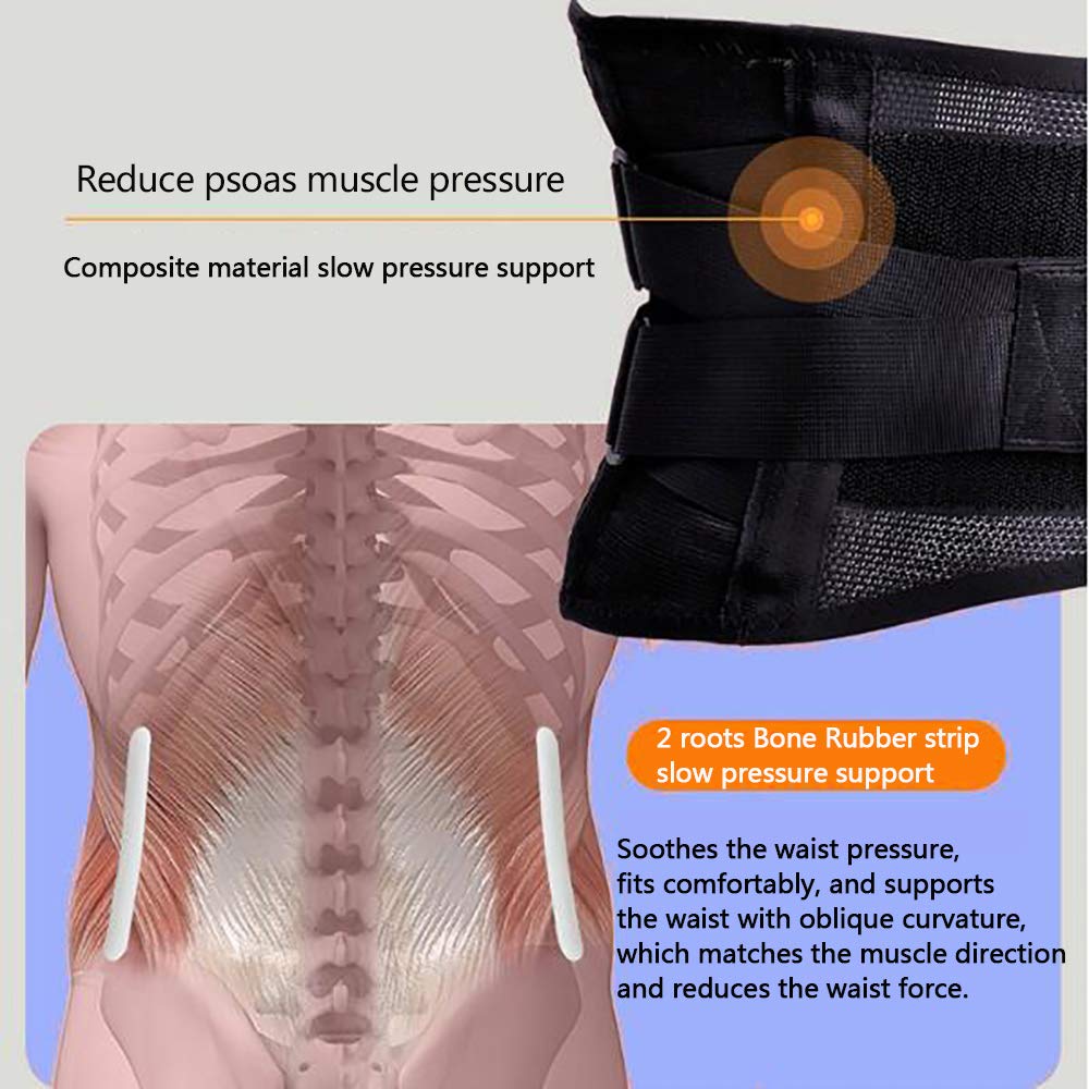 Faja Lumbar Fitness, cinturón de Cintura con calefacción eléctrica, para Hernia de Disco, ciática, escoliosis, estenosis espinal, con Almohadilla Lumbar extraíble,L