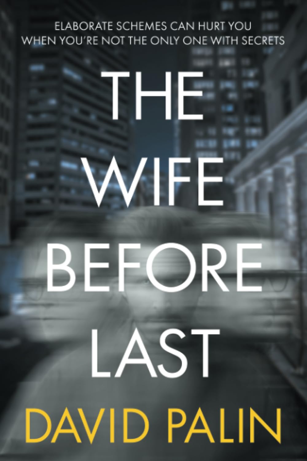The Wife Before Last by David Palin PAPERBACK 9781837916252