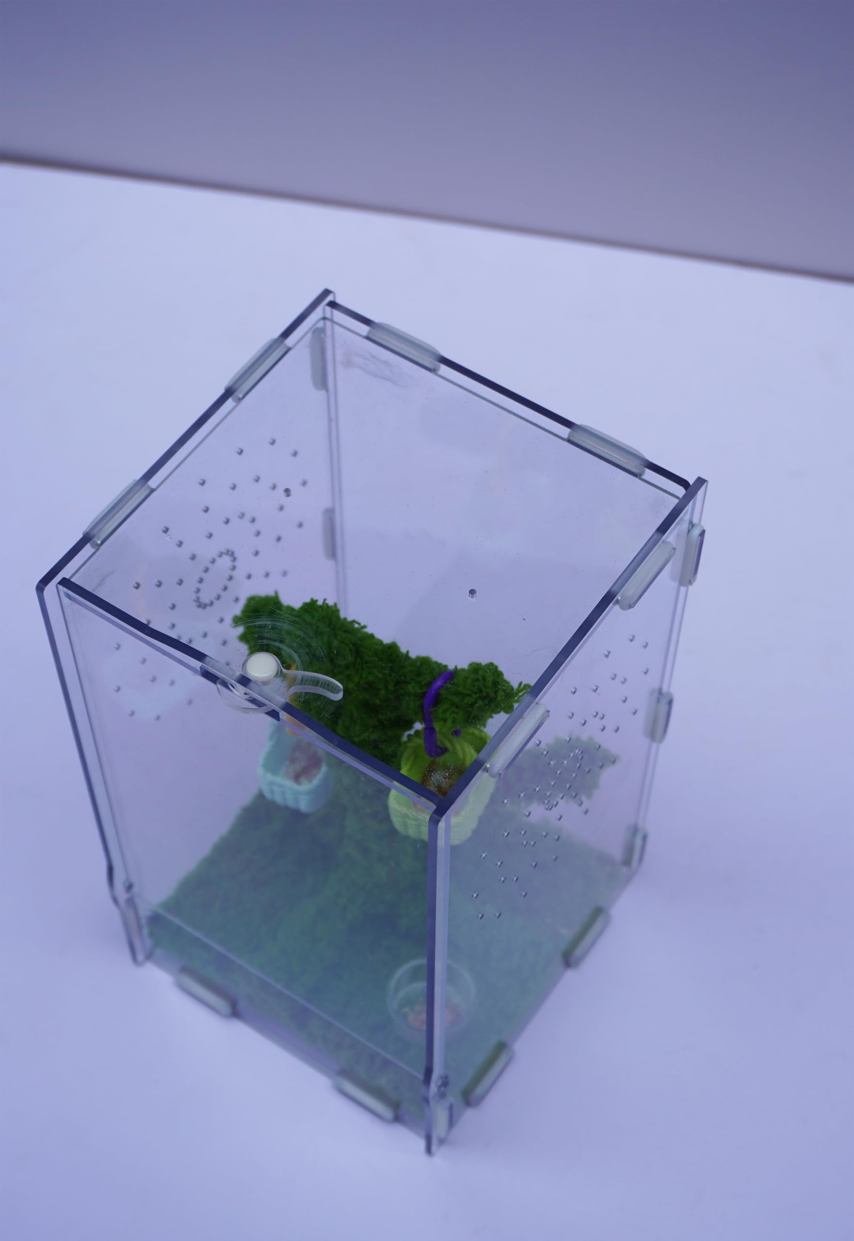 Jinymral Jumping Spider Enclosure with Jumping Spider Accessories – Acrylic Ventilation Terrarium Kit, Includes Feeding Tongs, Natural Decor, Habitat for Pet Spiders, Reptiles & Arboreal Pets — view 5