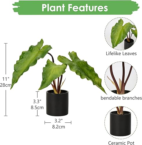Miniatura 8 de Plantas artificiales en maceta de 12 pulgadas, plantas sintéticas filodendro selloum en macetas de cerámica negra para oficina, escritorio, baño,