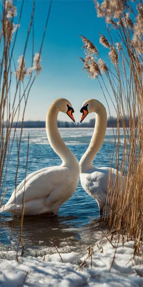 Diamond Painting Kits for Adults, 5D Diamond Art Swan 50x120cm, DIY Large Reed Blue Sky Dimond Art kits Adults, Full Square Drill Crystal Rhinestone Embroidery Canvas for Home Wall Decor (SQ891)