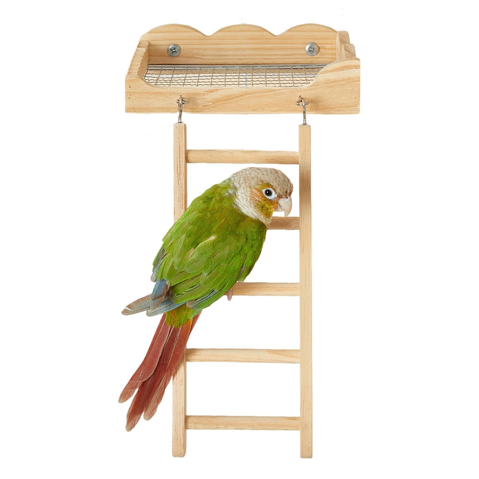 Gymnastique en bois pour oiseaux : accessoire haut de gamme pour cage