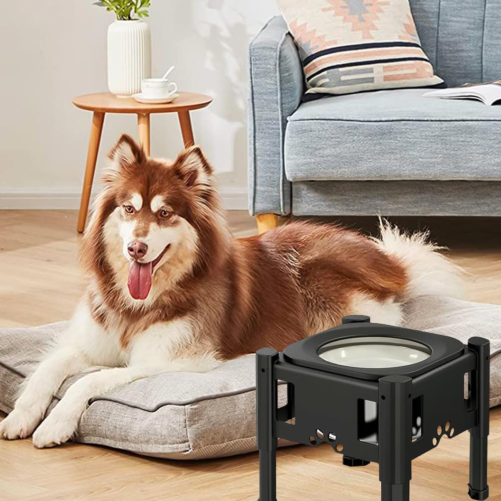 Gamelle d'eau pour chien, anti-éclaboussures, réglable en hauteur, gamelle en acier inoxydable, gamelle d'eau surélevée pour chien, avec gamelle anti-glouton