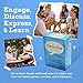 Describe Cards - Deck One Conversation Cards, Over Two Dozen Games and Social Emotional Learning Activities for Families, Therapy, School and More. Includes More Than 300+ Questions.