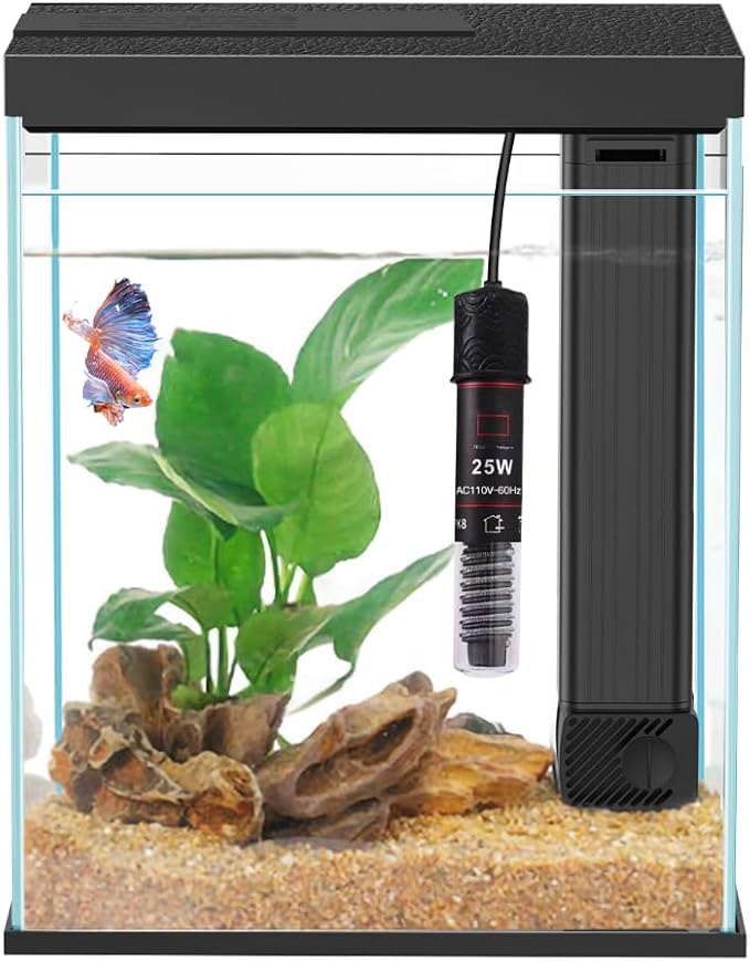 Glass Betta Fish Tank Starter Kits, 2 Gallon Fish Tank