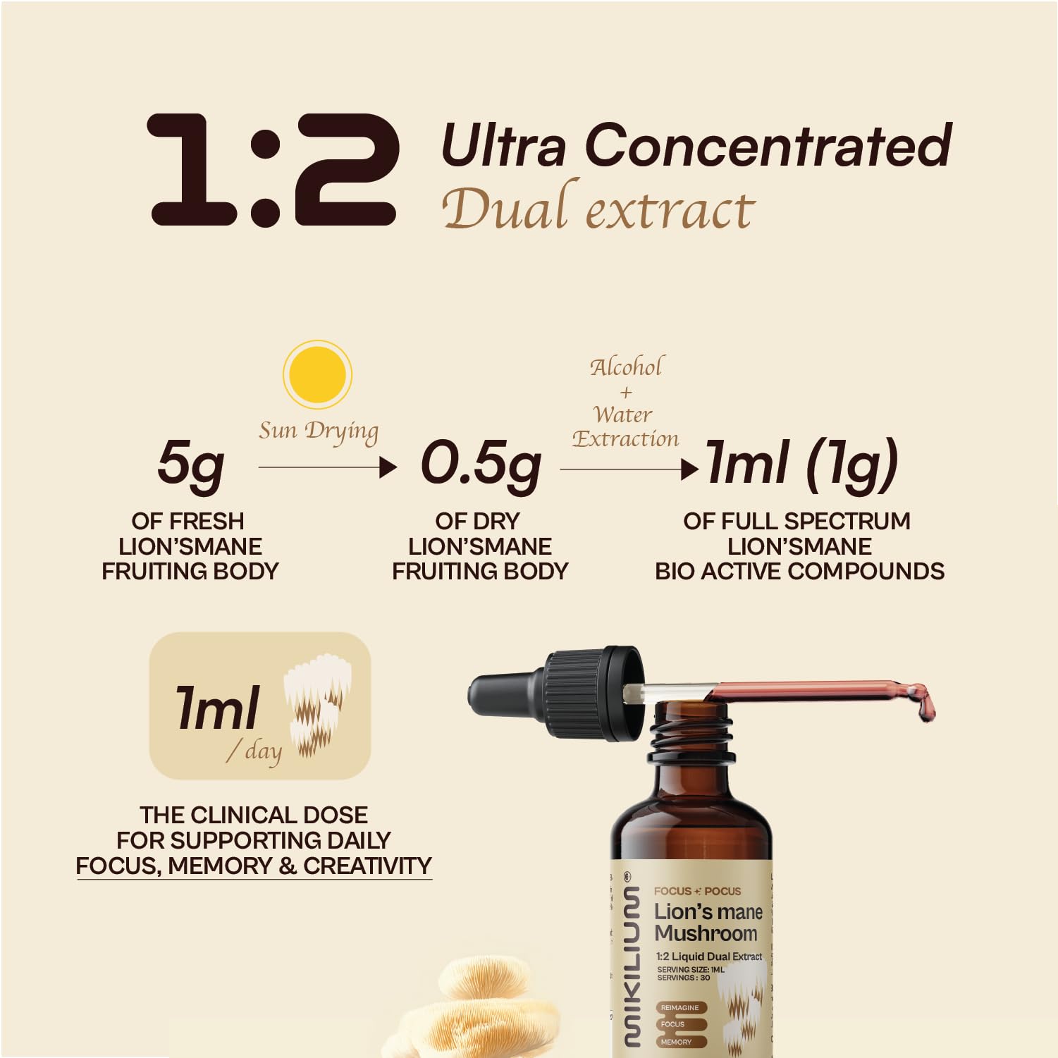 Focus-Pocus | Lion's mane Mushroom 1:2 Liquid Dual Extract | 30ml, 30 servings | Fruiting Body | Reimagine, Focus, Memory — Amazon image 4
