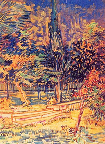 Tableau Jardin de l'asile Van Gogh pour une décoration murale de salon
