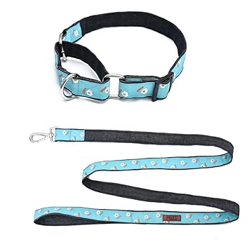 Mutt of Course Eggs N Bacon Martingale Collar (Medium Combo)