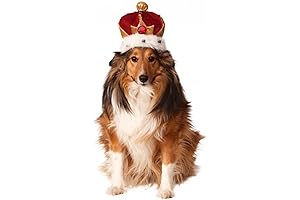Rubie's King's Crown Pet Costume Accessory: The Royal Regalia for Your Canine Companion