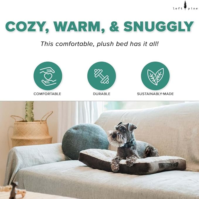 Colchoneta para Perro Pequeño Ortopédica Lavable miniatura 2