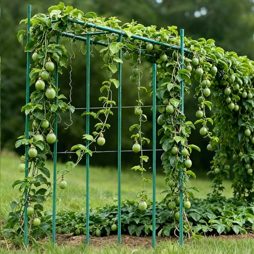 VEVOR Garden Stakes, 25 Pack, 82.68 inch, Plastic Coated Metal Tomato Stakes, Garden Sticks for Plants Support, with Pointed End and Non-Slip Bumps for Growing Climbing Plants, Outdoor Vegetables by VEVOR - Image 2