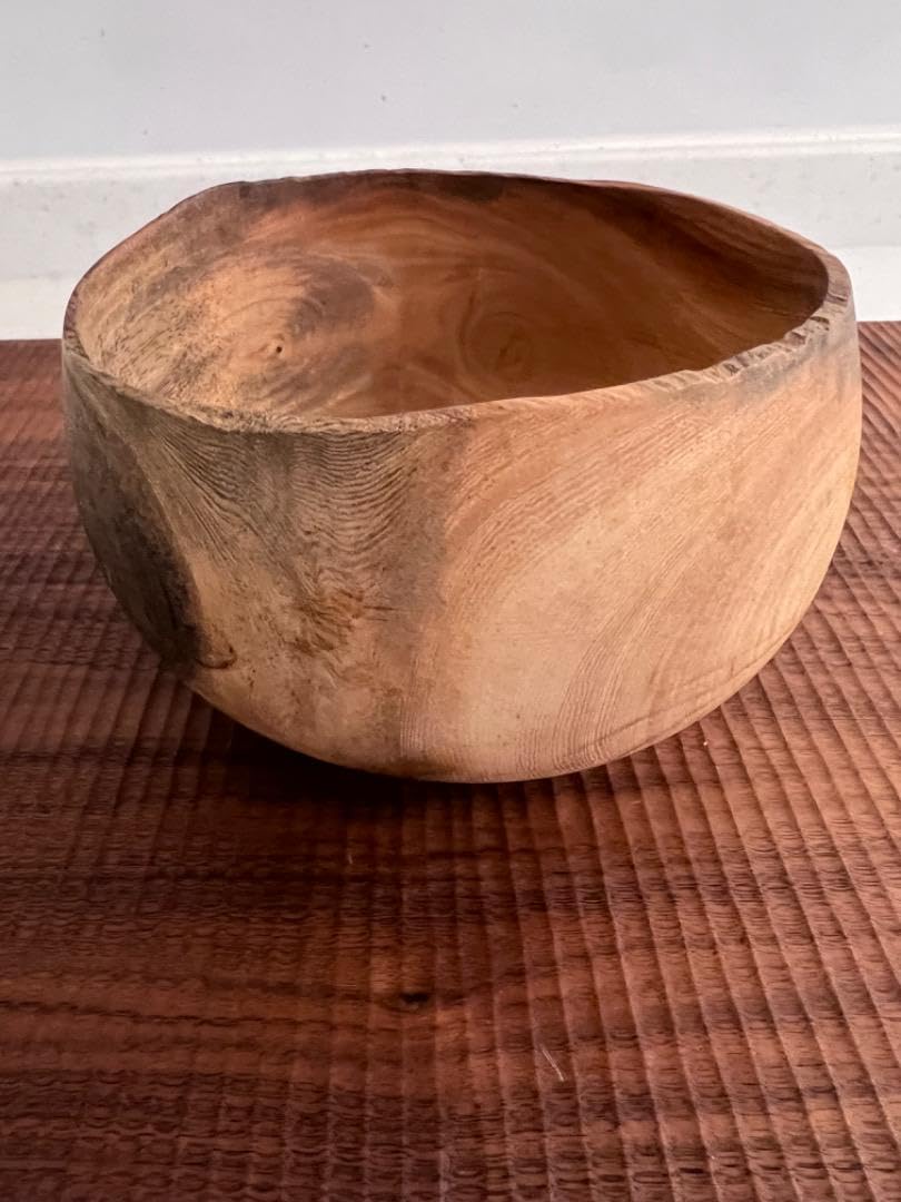 藤本健ウッドボウル大