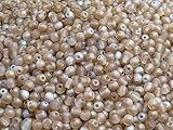 Round Beads