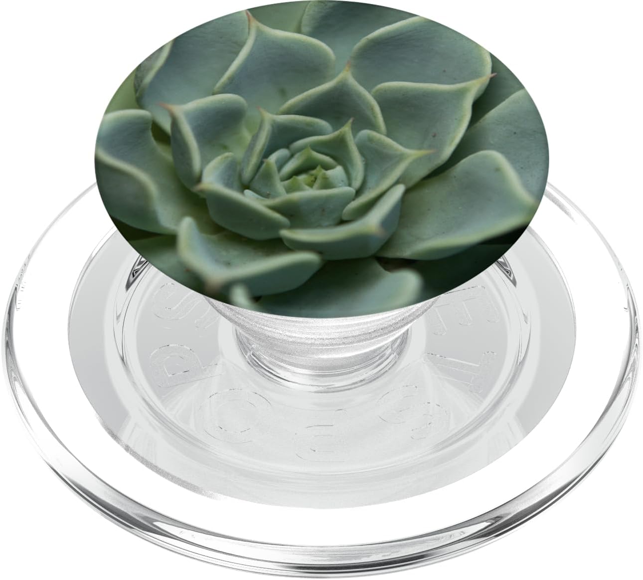 Succulent Plant PopSockets MagSafe PopGrip for iPhone