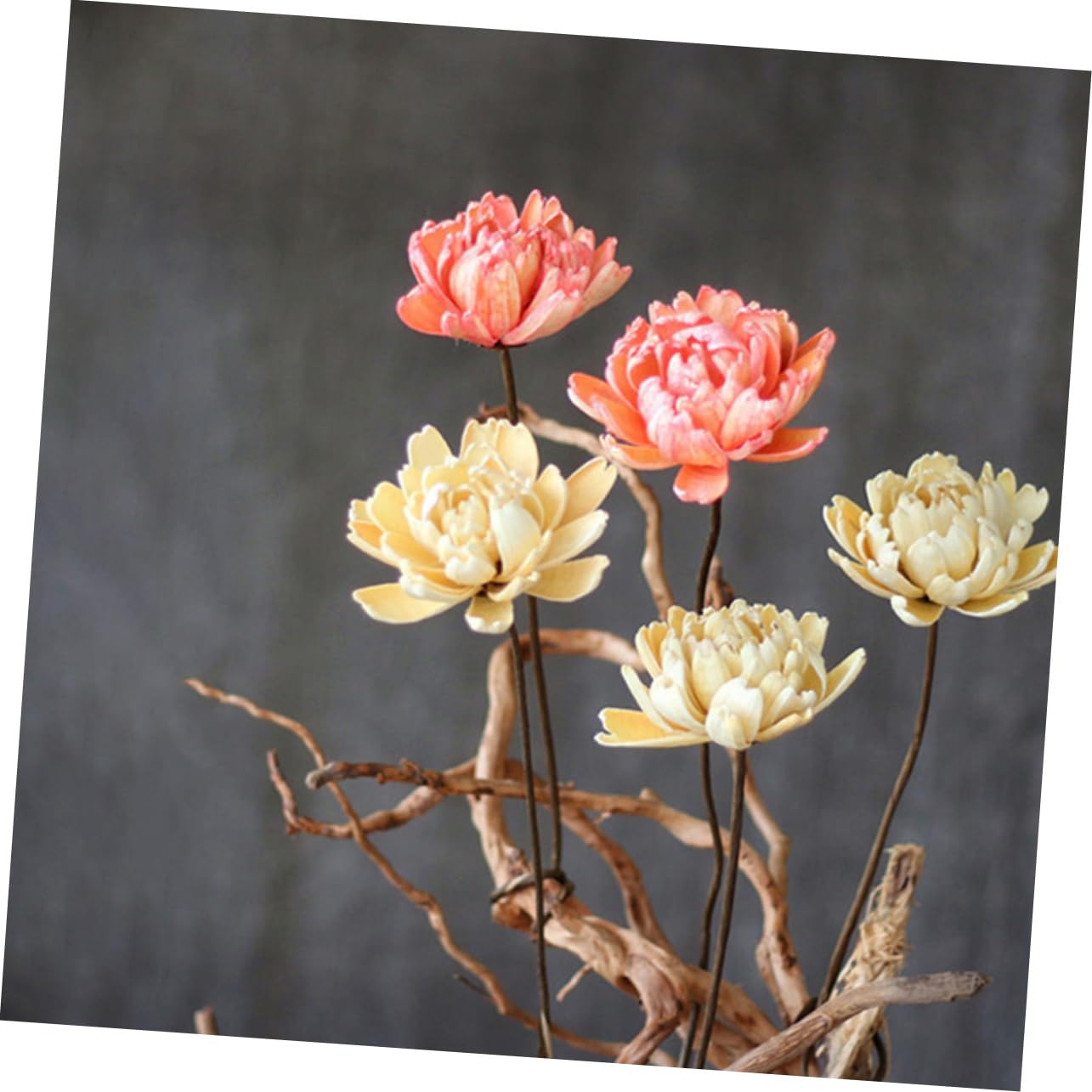 Alipis 6piezas Ramo De Flores Secas Adorno Floral Natural para Decoración De Hogar y Bodas Accesorio para Fiestas y Celebraciones Sin Mantenimiento y Larga Duración
