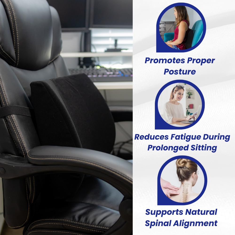 Amazon｜Bodyline Back-Huggar – トラディトン/レギュラースタイル