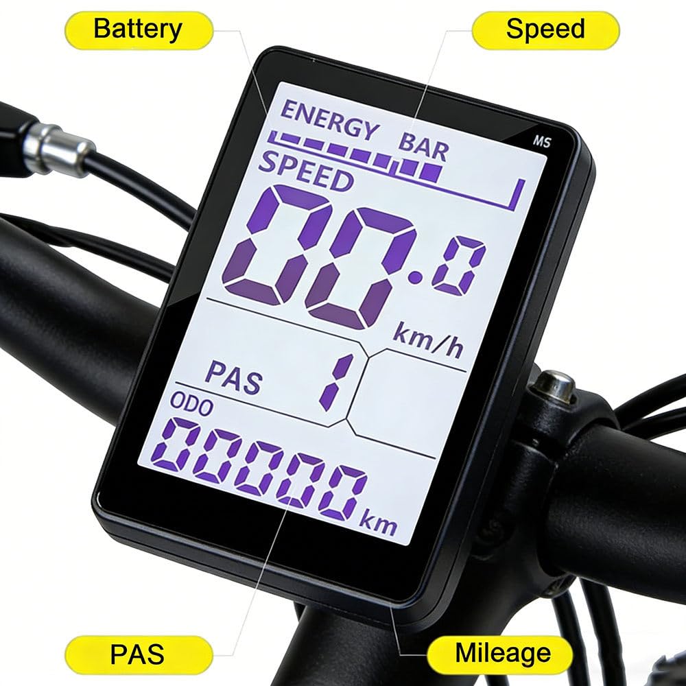 Elektryczny rower trójkołowy dla dorosłych, opony fatbike 24", do użytku w terenie, wspomagany elektrycznie, nośność 200 kg, kosz na bagaż, niebieski, do codziennego użytku i transportu zakupów