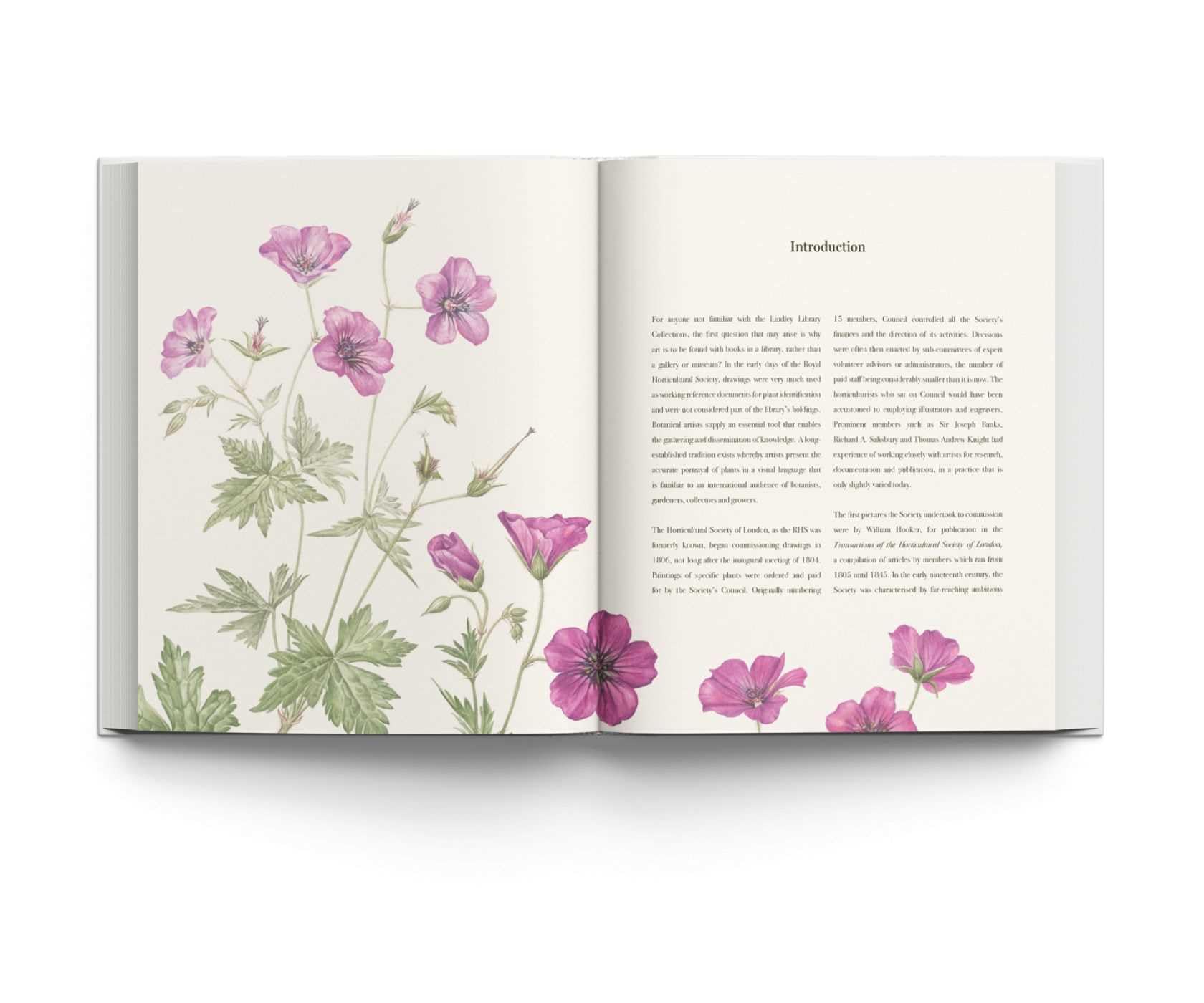 RHS Botanical Illustration (New ed) /anglais: The Gold Medal Winners
