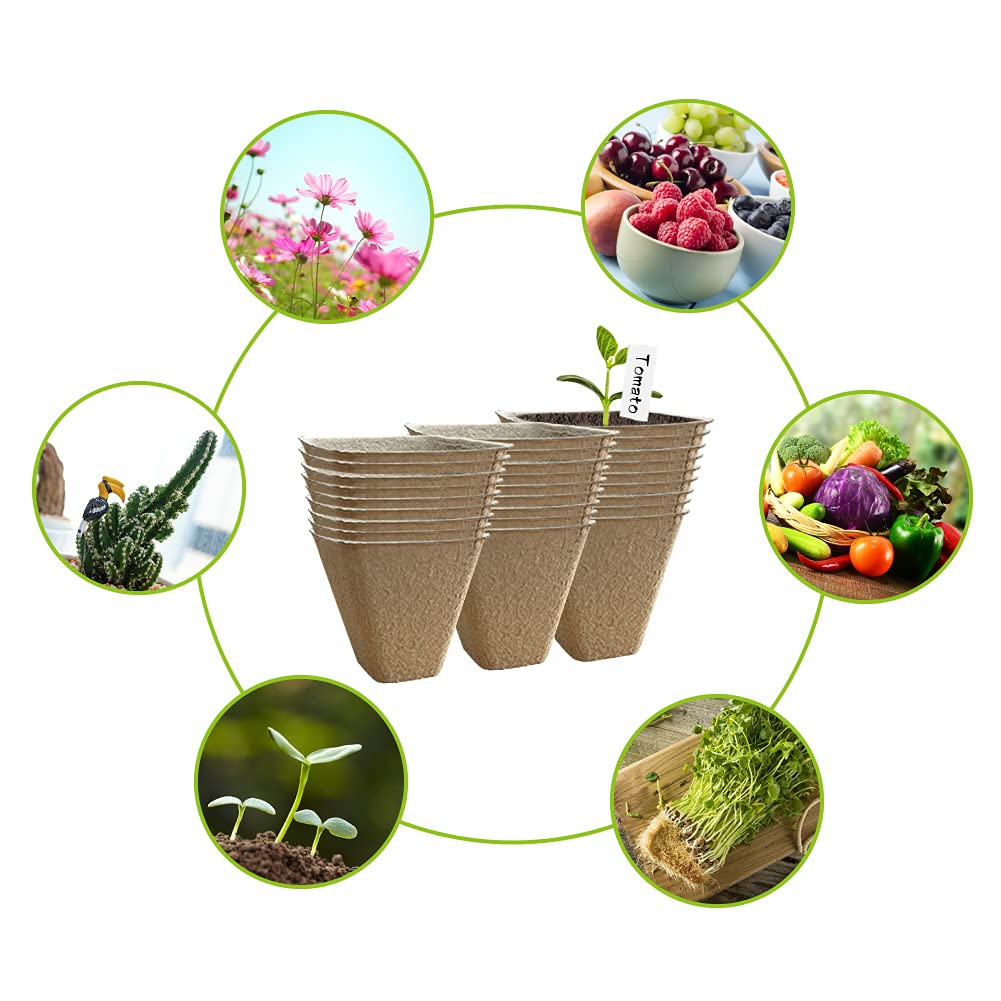 Vasetti Torba Biodegradabili 100 Pezzi - Con Etichette Per Piantine, Semi E Trapianti - Foto 5