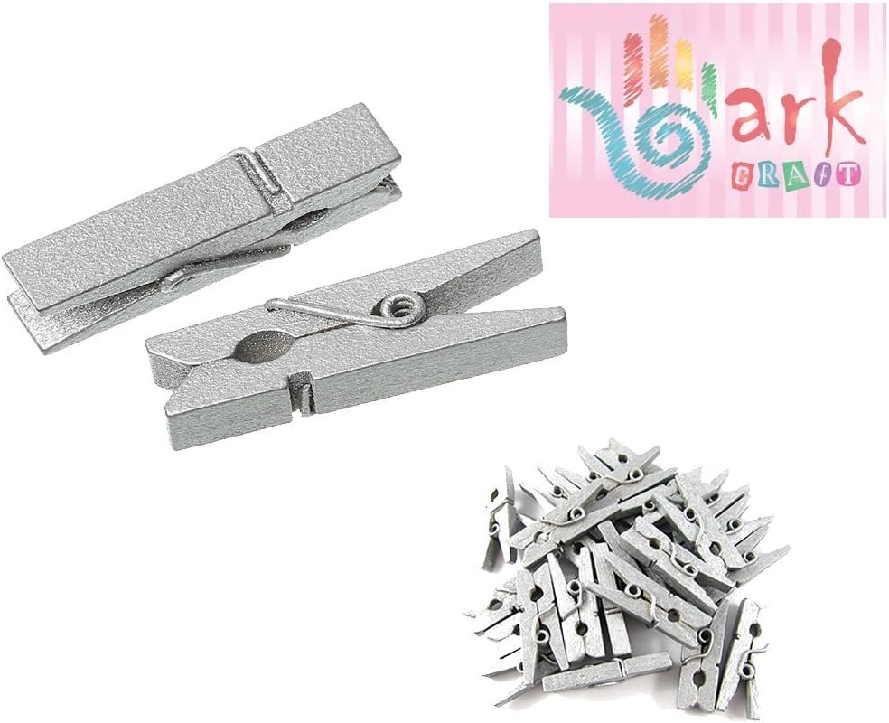 100 Mini Wooden pegs (Silver)