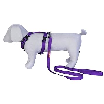 Pets Like Dog Full Harness with Collar Clips and Leash Set Purple(Small),GE-PL8003E