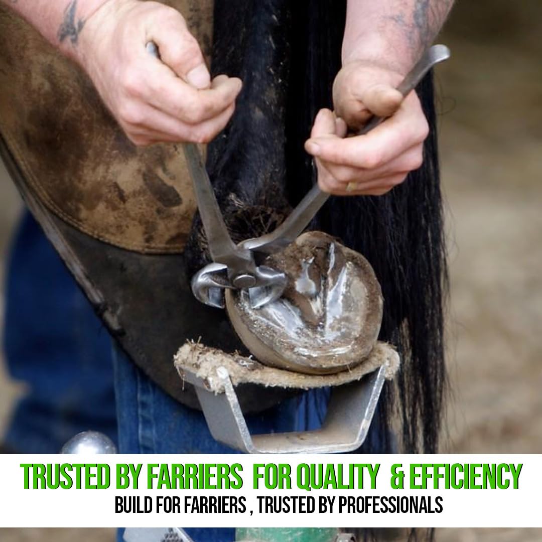 Amazon.co.jp: Equinez Tools 3個 蹄 蹄キット ニッパー クリンチャー 