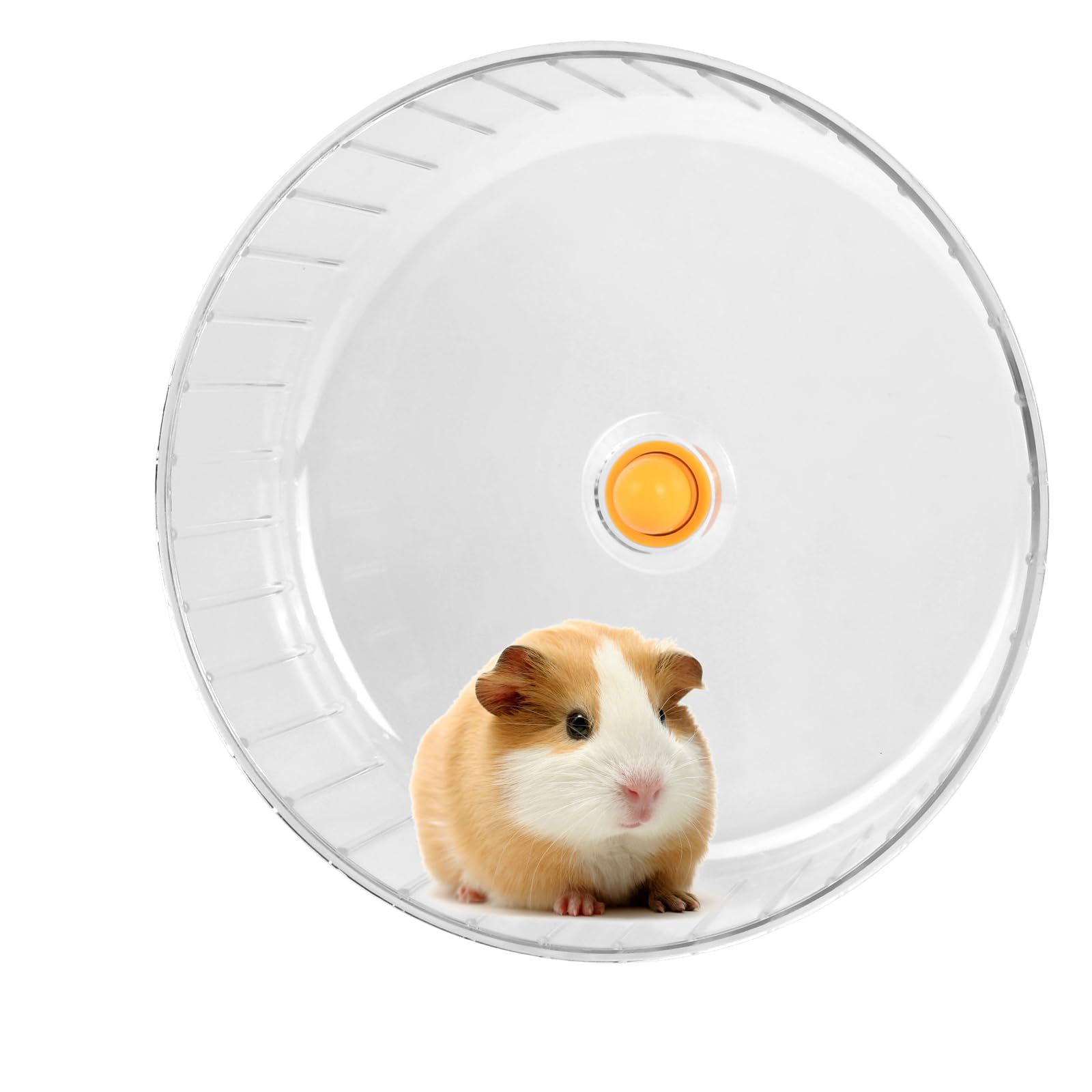 Ruota Criceto Silenziosa, 17 cm Dual-Bearing Criceto Esercizio Ruotas Tranquillo Spinning, Ruotas da Corsa per Criceti, Plastica Ruota da Corsa Trasparente per Gerbilli, Roditori, Topi，Orso d'oro