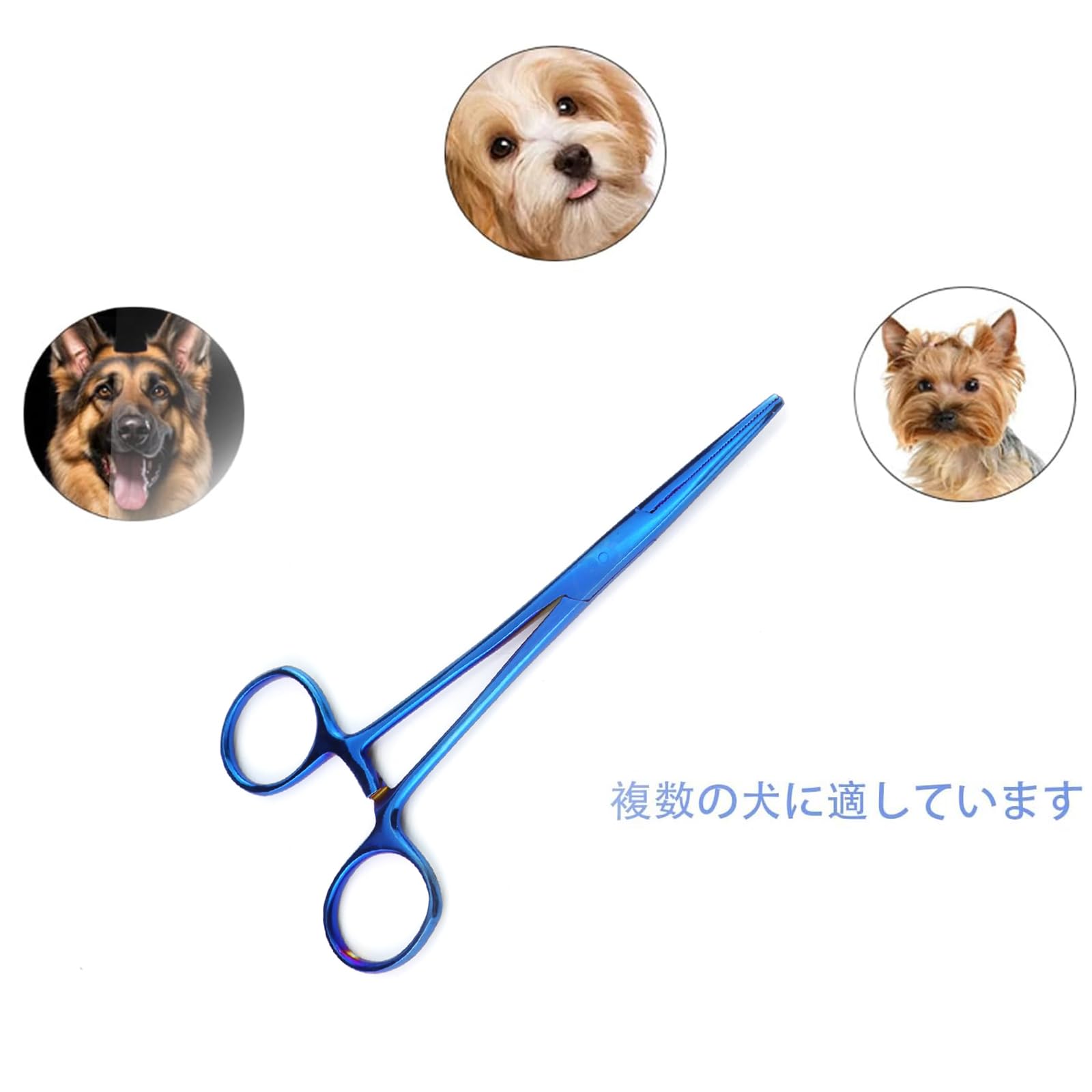 お手入れ・トリミング用品 KANDEL Amazon.co.jp: Roczential 鉗子 かんし ステンレス製 ペットのお手入れ