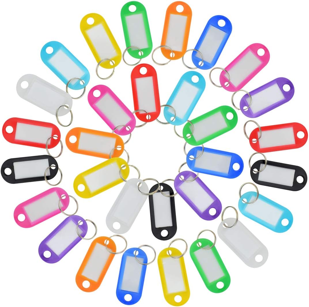Yolyoo 100 Pack Tough Plastic Key Tags with Label Window 10 Colors