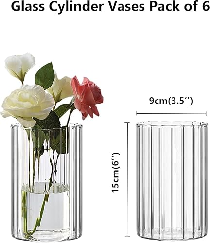 Miniatura 3 de Juego de 6 jarrones cilíndricos de vidrio transparente acanalado para flores, decoración moderna de florero flotante de 6 pulgadas de alto,
