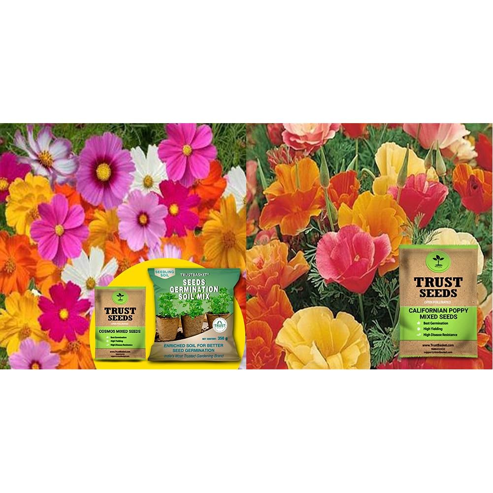 TrustBasket Cosmos Mixed (OP/Desi) Seeds With Free Germination Potting Soil Mix & TrustBasket Premium Flower Californian Poppy Mixed Seeds (Open pollinated)