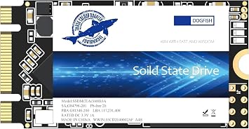 Dogfish SSD M.2 2242 250GB Solid State Drive Ngff Internal Solid State Drive High Performance Hard Drive 250GB, M.2 2242