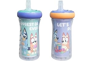 Bluey Vacuum Insulated Snack Cup