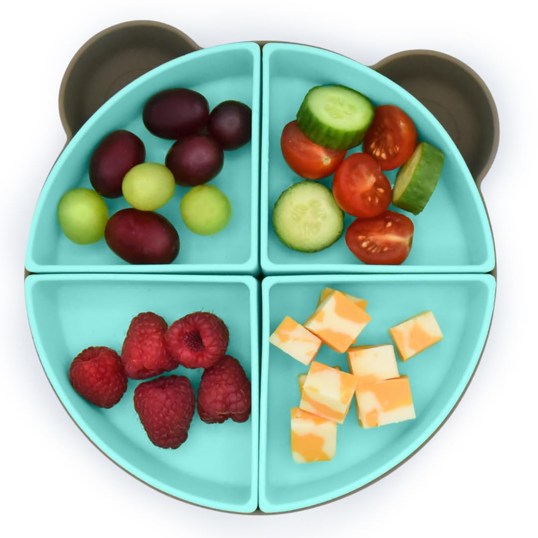 Amazon.com: melii 100% Silicone Divided Suction Plate with