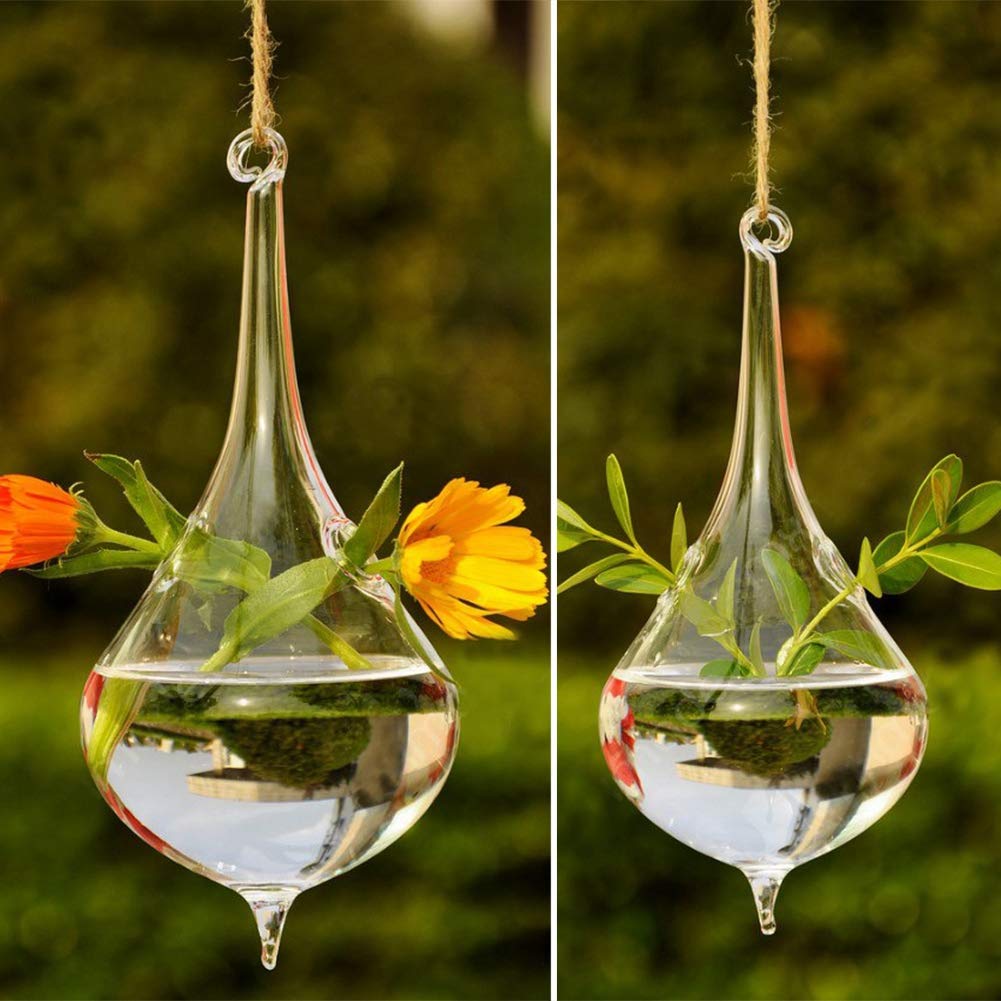 RXMORI 2 Maceteros Colgantes de Cristal para Plantas de Terrario, Contenedores de Cristal Colgantes con Cuerda de Lágrima, Terrario, Plantas de Terrario, Jarrón para Plantas de Aire, Maceteros Suculen