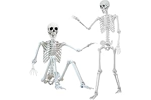 5.4Ft Halloween Skeleton: Poseable, Standing, Decoration
