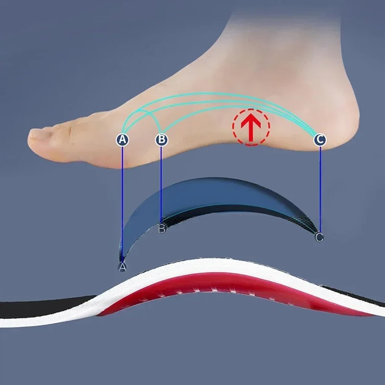 Physeli ArchiStep, Semelles Orthopédiques avec Soutien de la Voûte Plantaire pour Douleurs au Talon, Fasciite Plantaire, Genou et Maux de dos, Design pour Homme et Femme (L 40-46)