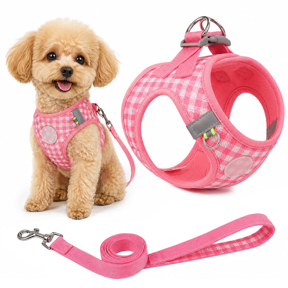 Mesh Dog Harness and Lead Set with Reflective Strips for Puppies (Pink, XS)