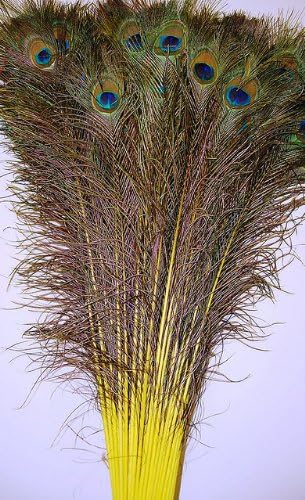 50 Pcs Dyed Peacock Feathers 40"-45" for Halloween Home Decor Bridal Vases Centerpieces (Yellow)