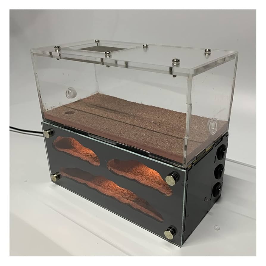 Amazon | アリの巣 3灯アリの巣 アクリル製 アリ飼育キット石膏