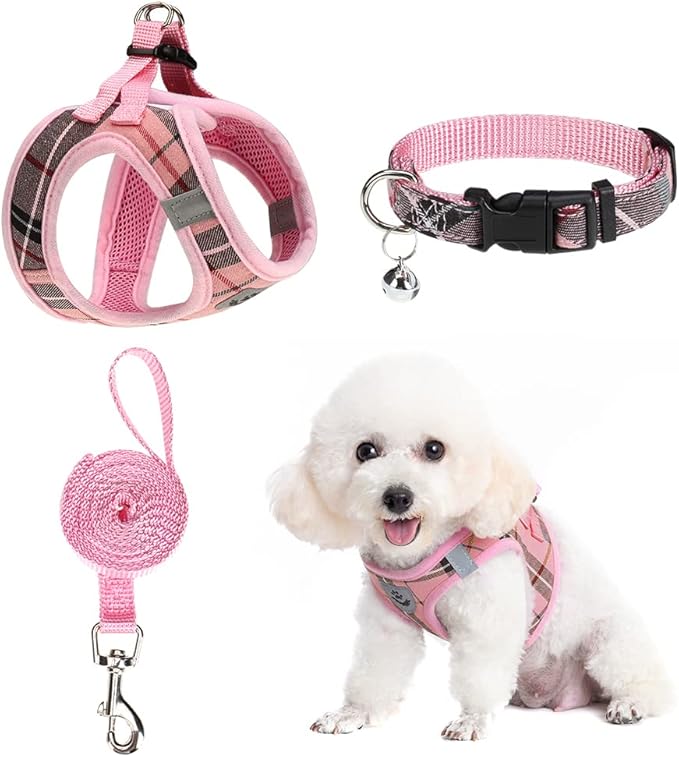 EXPAWLORER Puppy Harness and Leash Small Dog Collar and Leash