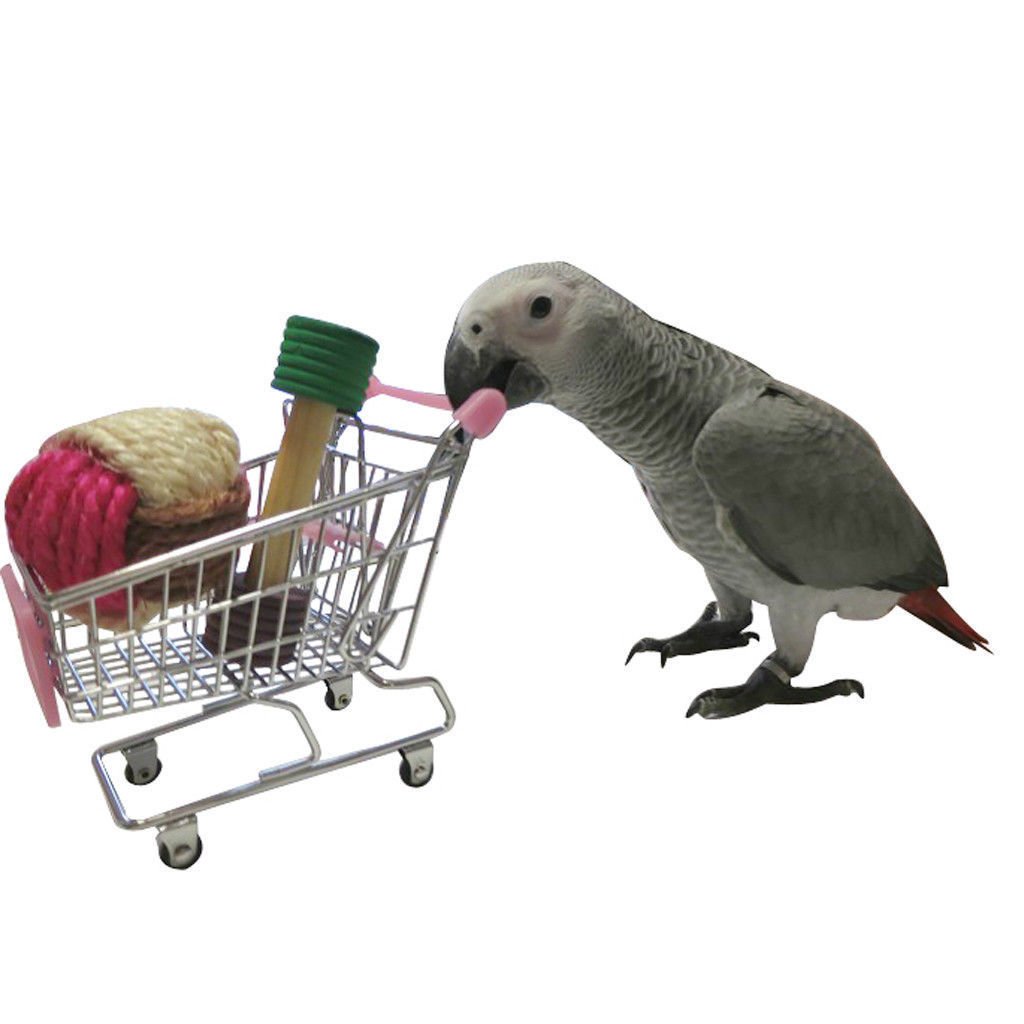 Birds Toys Trolly Imported - Good for Grey Parrot & Birds to Play with (B07CQFGCMK) Amazon Price History, Amazon Price Tracker