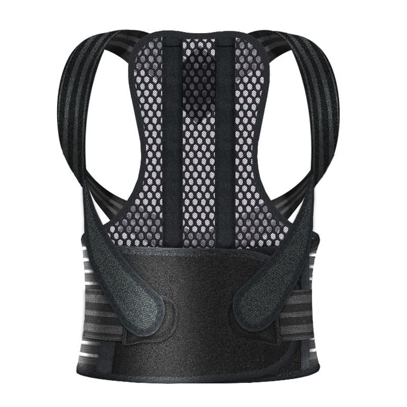 半額 姿勢サポーター 姿勢ベルト 男性用 女性用 子供用 通気 脱着簡単 L Www
